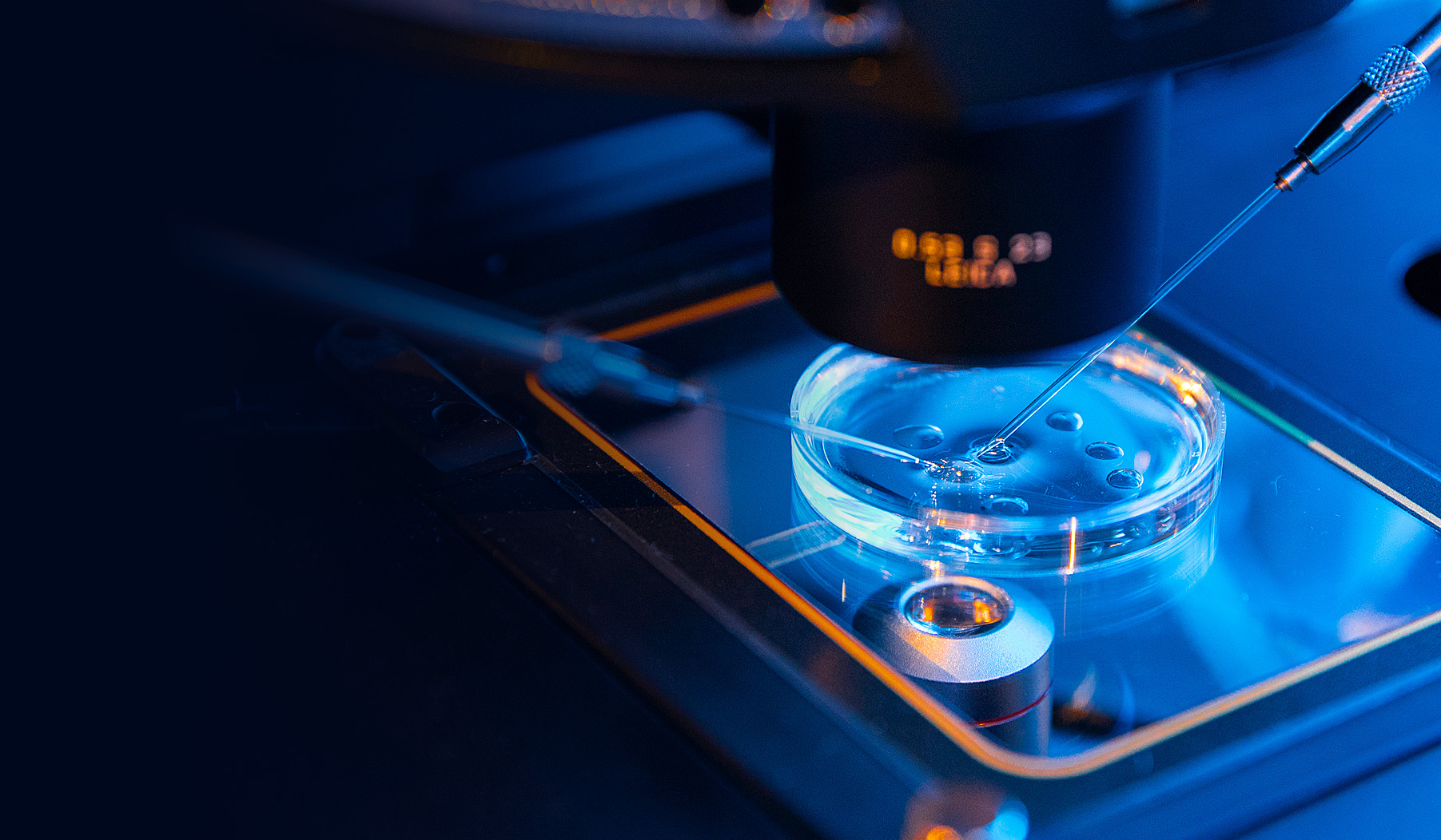 We are innovative and nimble